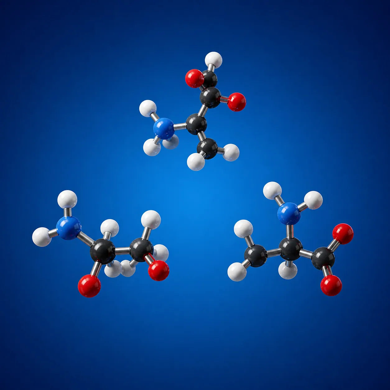 Three complementary amino acid molecular models